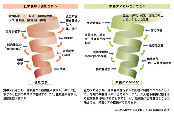 MINA 高齢者の「未来予想」Nestle Nutrition, 2010.